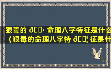 狠毒的 🕷 命理八字特征是什么（狠毒的命理八字特 🐦 征是什么意思）